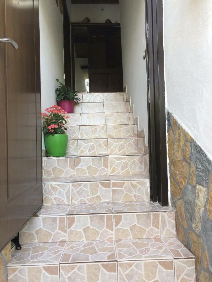 Tomor Shehu Guest House Berat Bagian luar foto
